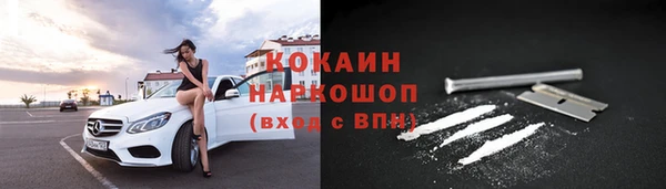 мяу мяу мука Дмитриев
