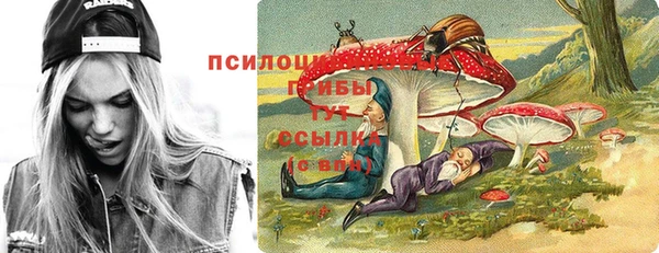 мяу мяу мука Дмитриев