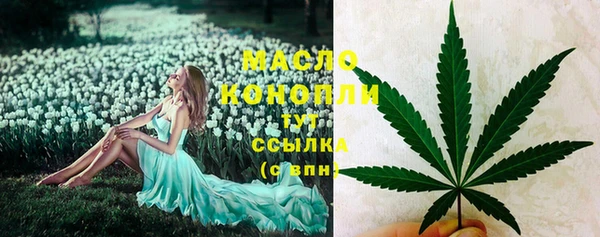 мяу мяу мука Дмитриев