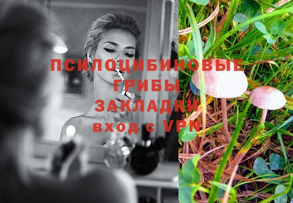 мяу мяу мука Дмитриев