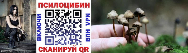 Псилоцибиновые грибы Magic Shrooms  Карабаново 